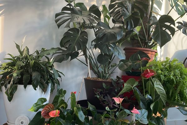 12631D5A-8351-4A39-9ED9-58BC66E5D204