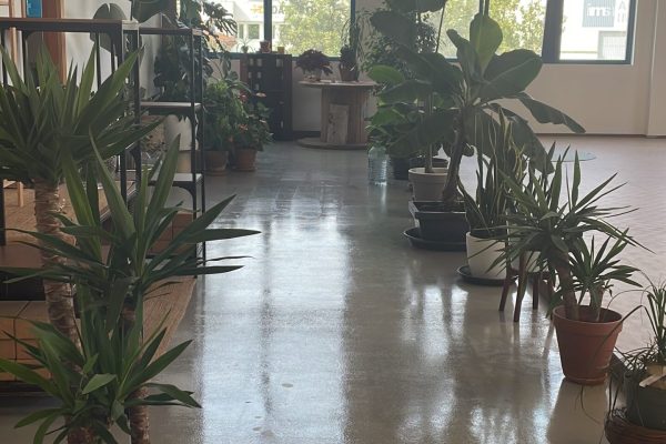 739F415D-6F7A-4A59-BCEC-807E95273ABD