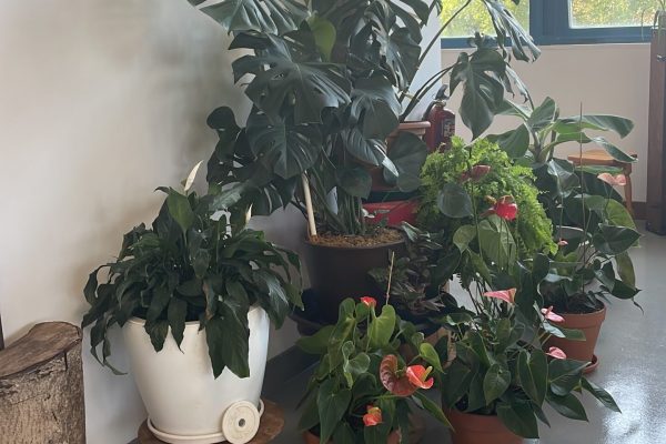 BD41A733-DBF9-4966-9398-945316FE9C55