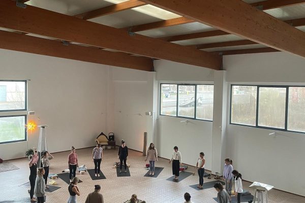 e6805d42-2a1c-46a7-a627-28aba5c75560